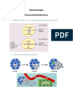 Doenças Mieloproliferativas - Parte 1