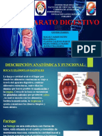 Presentación Digestivo