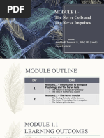 Module 1 - The Nerve Cells and The Nerve Impulses