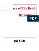 Anatomy of The Head Daniel