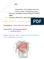 Fiches MS