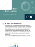 Bruno Samuel Cunha de Abreu - Biologia - Introdução Básica À Cromossomos