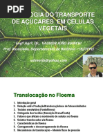 E - Aula 1 Transporte de Floema