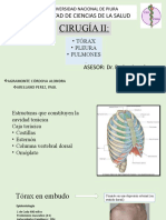 CX2 - C01 - Ciruía II - Torax, Pleura y Pulmón - Final 2