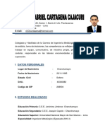 CV - Erick Cartagena