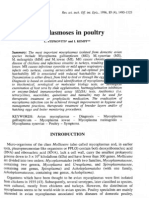 Mycoplasma in Poultry