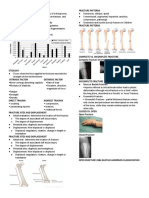 .2 UE FRACTURE Midterms