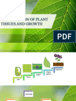 (Chapter 1) Organisation of Plant Tissue and Growth