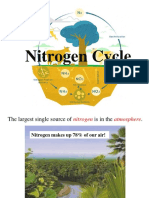 N Cycle