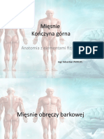 Mięśnie KG