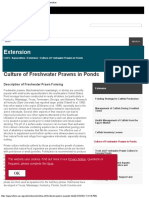 Culture of Freshwater Prawns in Ponds - Extension - Aquaculture