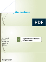 Breathing Mechanisms