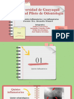 Quistes Odontogénicos Inflamatorios y No Inflamatorios Grupo de Trabajo