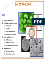 Tema 03. Virología