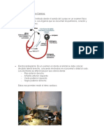 Exámenes Cardiopatías en Caninos