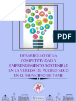 MODULO Desarrollo de La Competitividad y Emprendimiento Sostenible