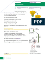 Patterns of Reproduction Page 1