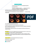 CARDIOPATIA ISQUEMICA - Cardio