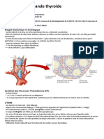 La Glande Thyroide