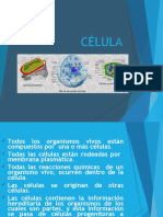 CELULAS Y VIRUS 2022 Farm y Bioq