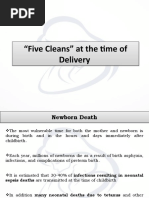 Five Cleans