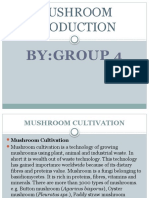 Mushroom Production 1