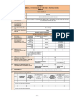 Formato Resumen Ejecutivo de Las Actuaciones Preparatorias (Bienes)