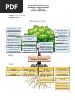 Árbol de Causas y Efectos - Juan José Avellán