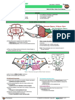 134 - Neurology Pathology) Pons Lesions