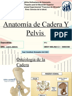 Cadera y Pelvis Deisy