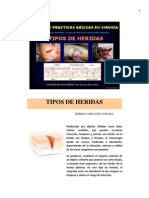 Tipos de Heridas. Prof. Dr. Luis Del Rio Diez