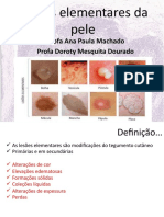 Aula Histologia - Estacao - 3 - Ana - e - Doroty