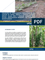 EVALUACIÓN DE CARACTERISTICAS PRODUCTIVAS DE LOS CULTIVOS DE PEPINO, CEBOLLA Y PIMIENTO (Cucumis sativus, Allium cepa y Capsicum annuum) BAJO SISTEMA AGROECOLOGICO MANEJADO CON DIFERENTES BIOFERTILIZANTES  Presentacion sustentacion de propuesta de TIC - copia