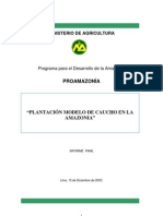 Plantacion Modelo de Caucho en La Amazonia