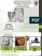 Escroto Agudo Médico y Quirúrgico D