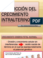 Restricción Del Crecimiento Intrauterino