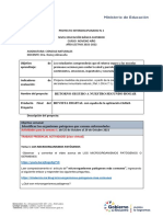 (Template) Proyecto 1 Organismos Patógenos Novenos