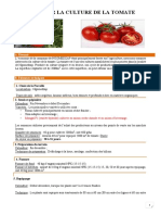 PROJET TOMATES Ngomedzap