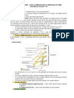 Mor3 - Anatomia - Plexo Lombossacral e Inervação Do Mmii