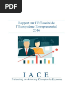 Rapport Ecosysteme Entrepreneurial 2016 IACE