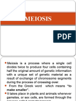 Meiosis