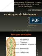 Vertíngens Do Pós-Humano