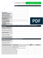 IC Construction Project Charter 27041 - WORD - ES