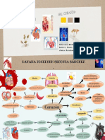 Ada Mapa Mental Del Corazón