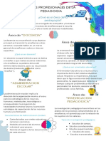 Areas Profecionales de La Pedagogia