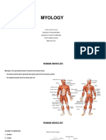 MYOLOGY მიოლოგია