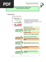 Alteraciones Flujo Rojo