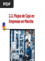 2.2. Flujos de Caja en Empresas en Marcha