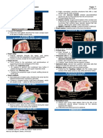 Nose and Paranasal Sinuses