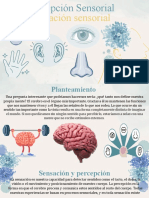 Exposicion Privacion Sensorial Equipo 4 653